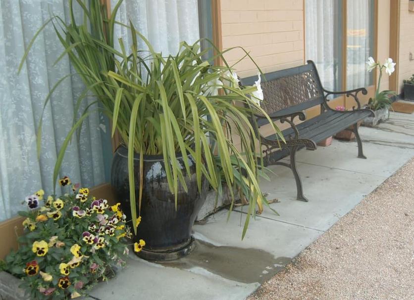 Patio Foto