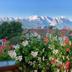 Vista esterna