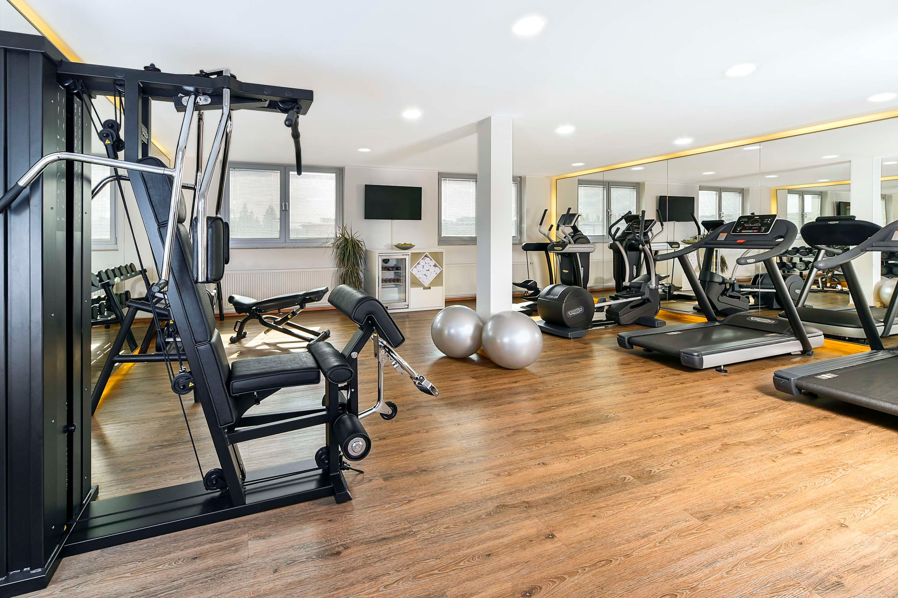 Palestra