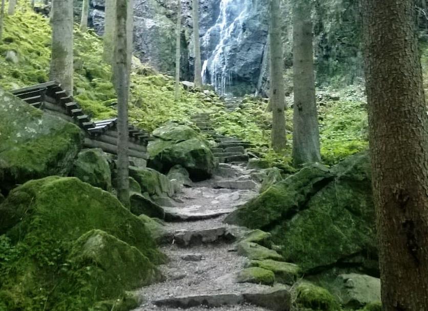 Altro Foto