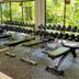 Palestra