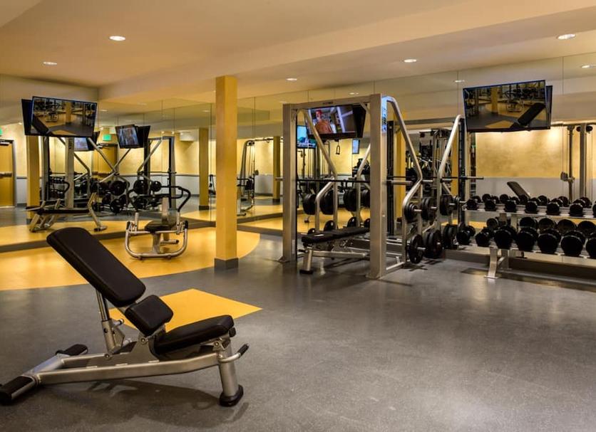Palestra Foto