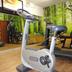 Palestra