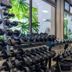 Palestra