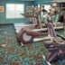 Palestra
