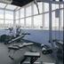 Palestra