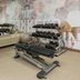 Palestra