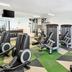 Palestra