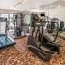 Palestra