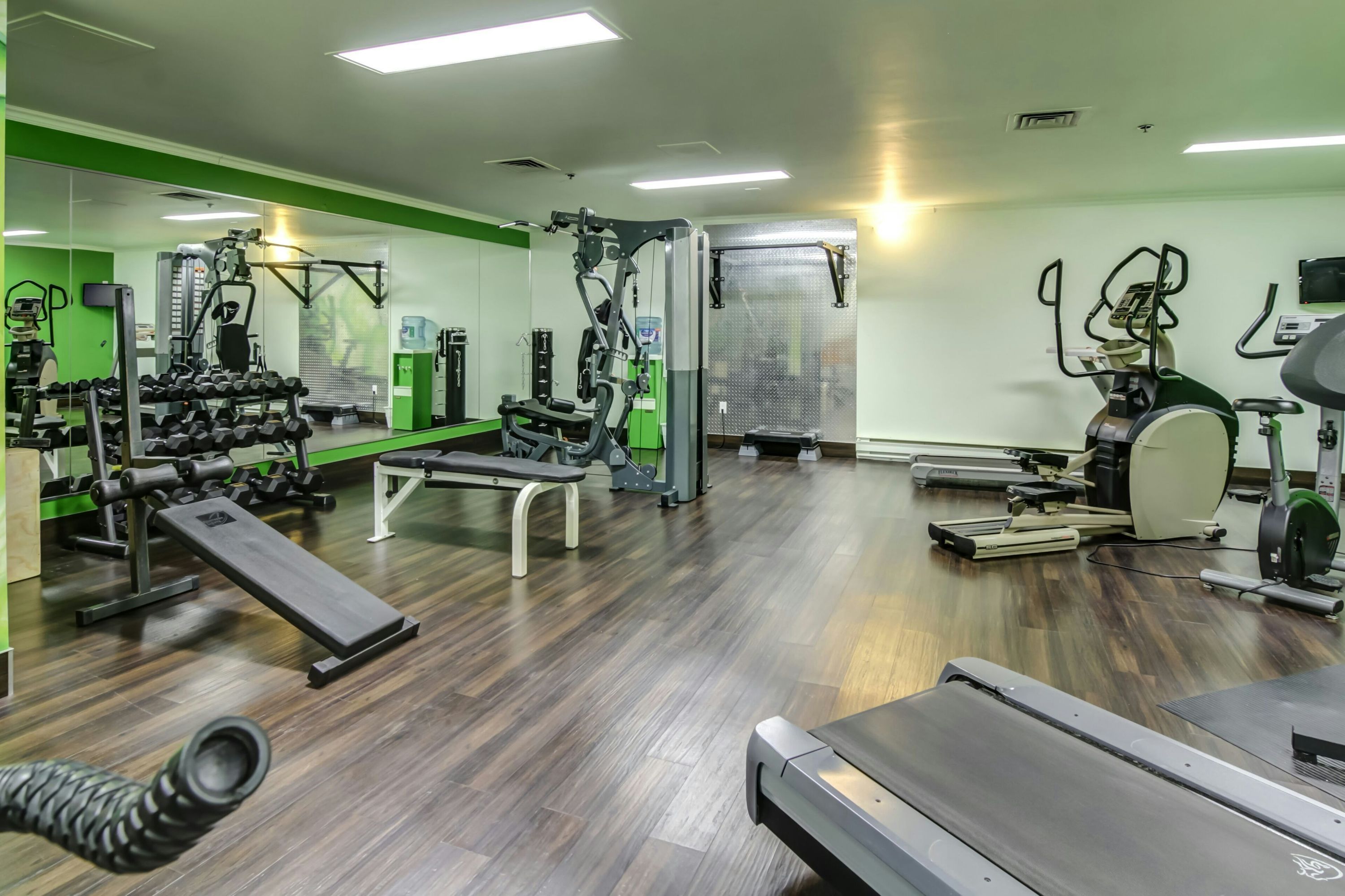 Palestra
