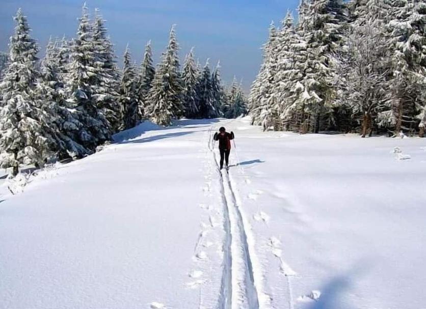 Servizi Foto