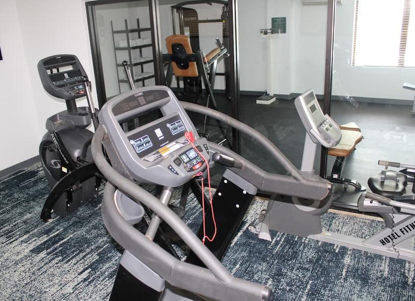 Palestra Foto