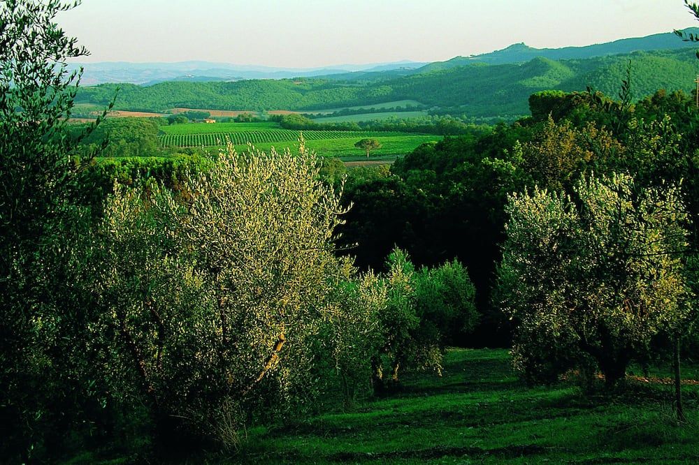 Vista esterna