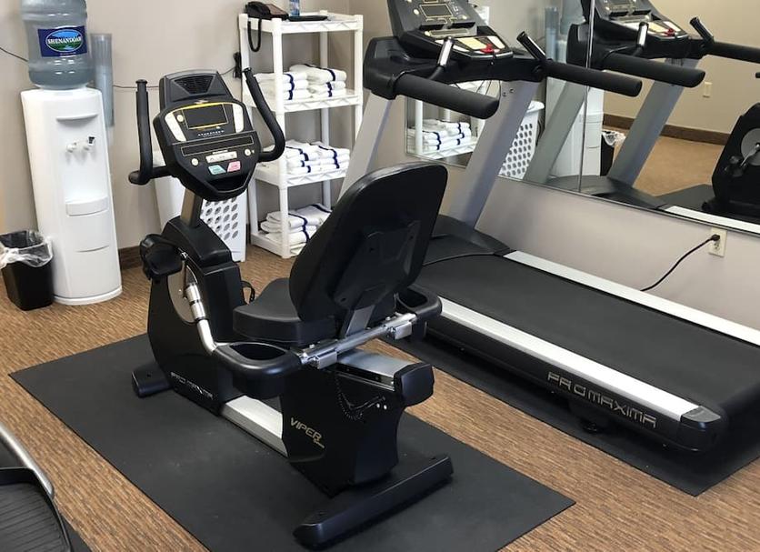 Palestra Foto