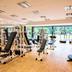 Palestra