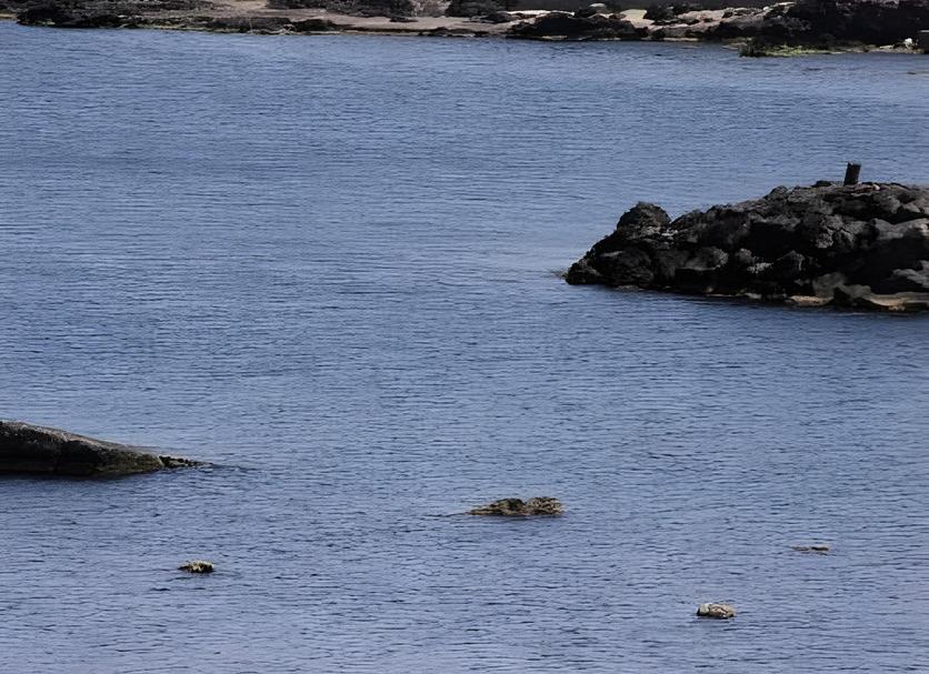 Spiaggia Foto