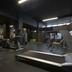 Palestra