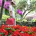 Vista esterna
