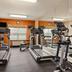 Palestra
