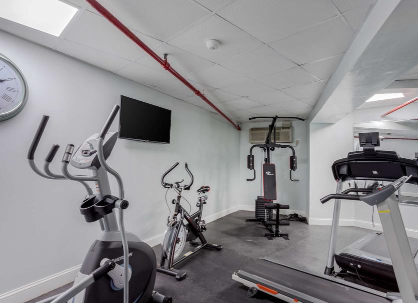 Palestra Foto