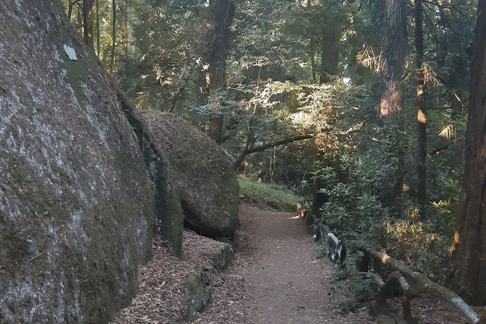 Vista esterna