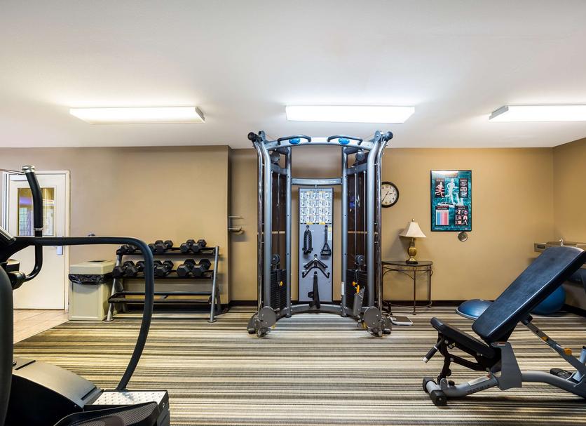 Palestra Foto