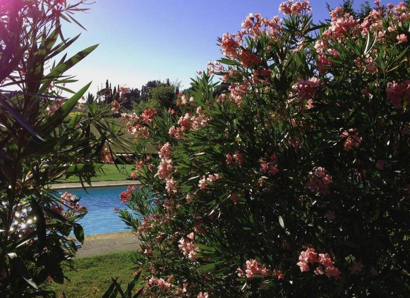 Vista esterna Foto