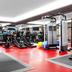 Palestra