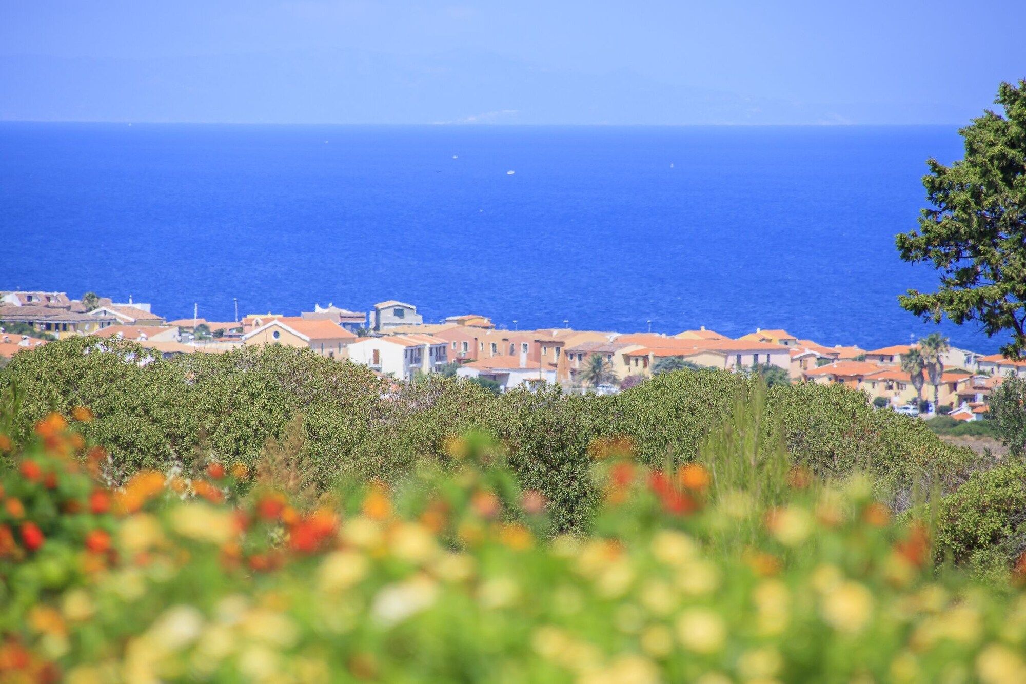 Vista esterna