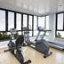 Palestra