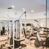 Palestra