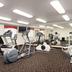 Palestra