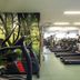 Palestra