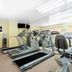 Palestra