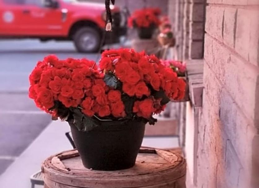 Dotazioni in camera Foto