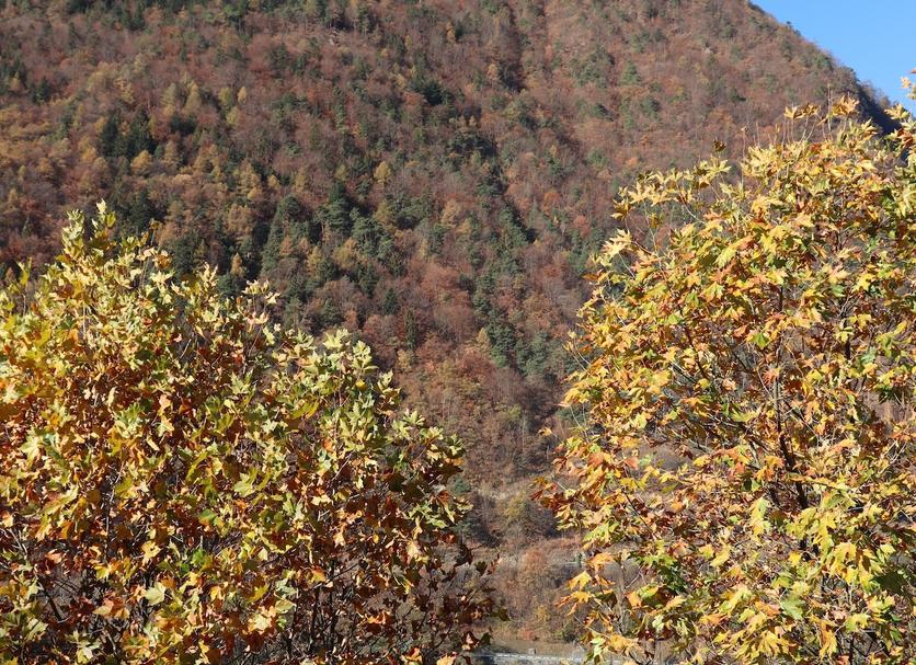 Vista esterna Foto