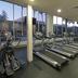 Palestra