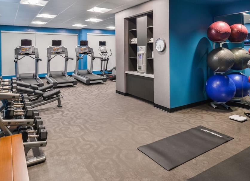 Palestra Foto