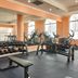 Palestra