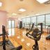 Palestra