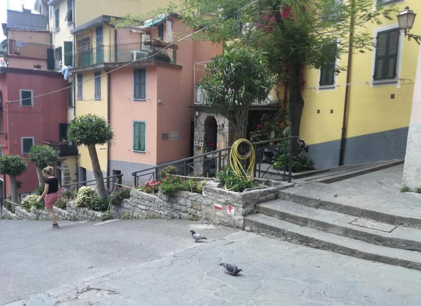 Vista esterna Foto