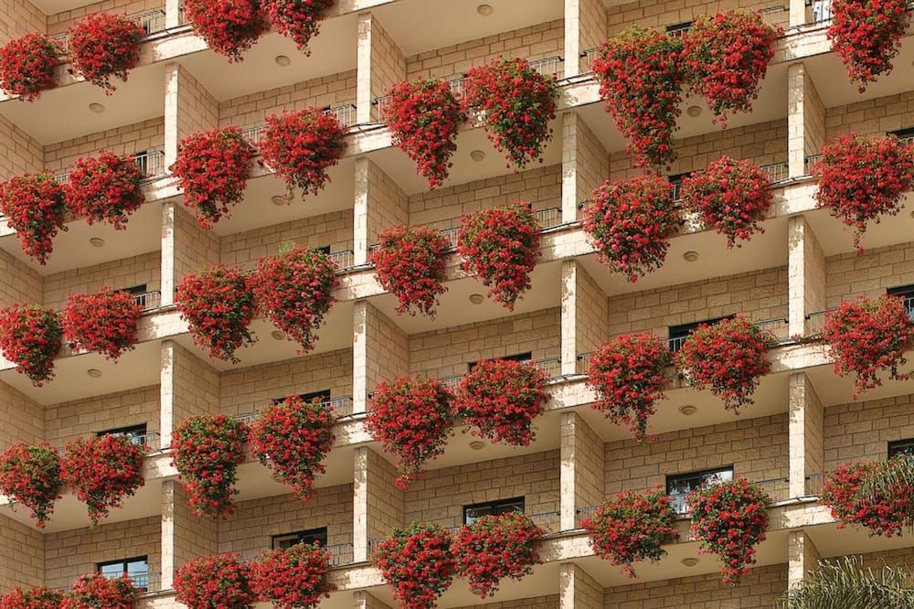 Edificio