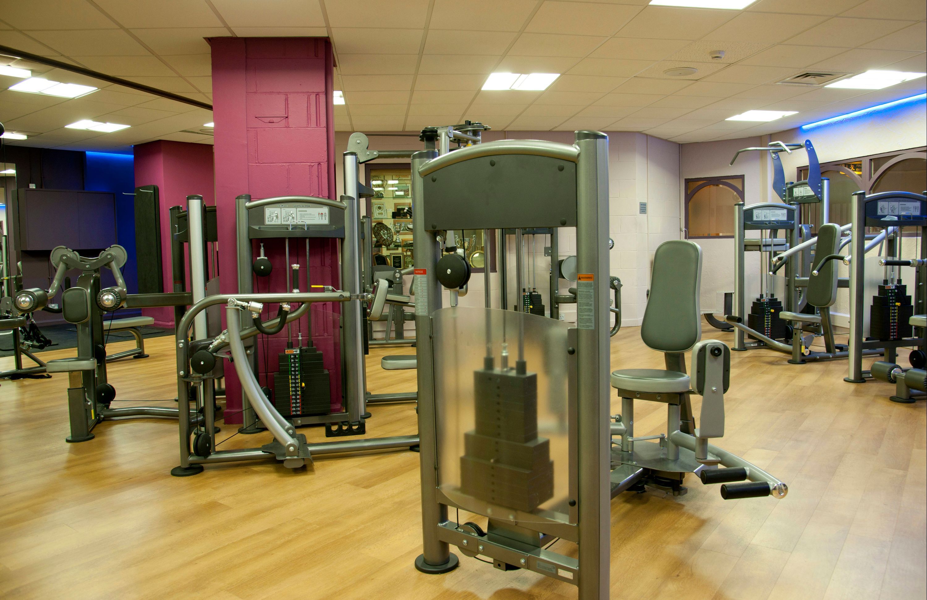 Palestra