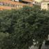 Vista esterna