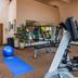 Palestra