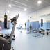 Palestra