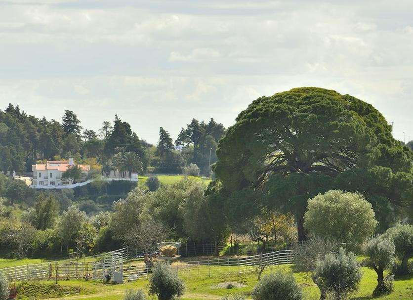Vista esterna Foto