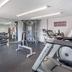 Palestra