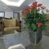 Ingresso
