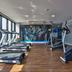 Palestra